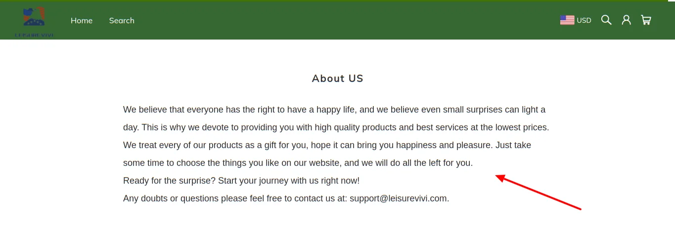 leisurevivi about us